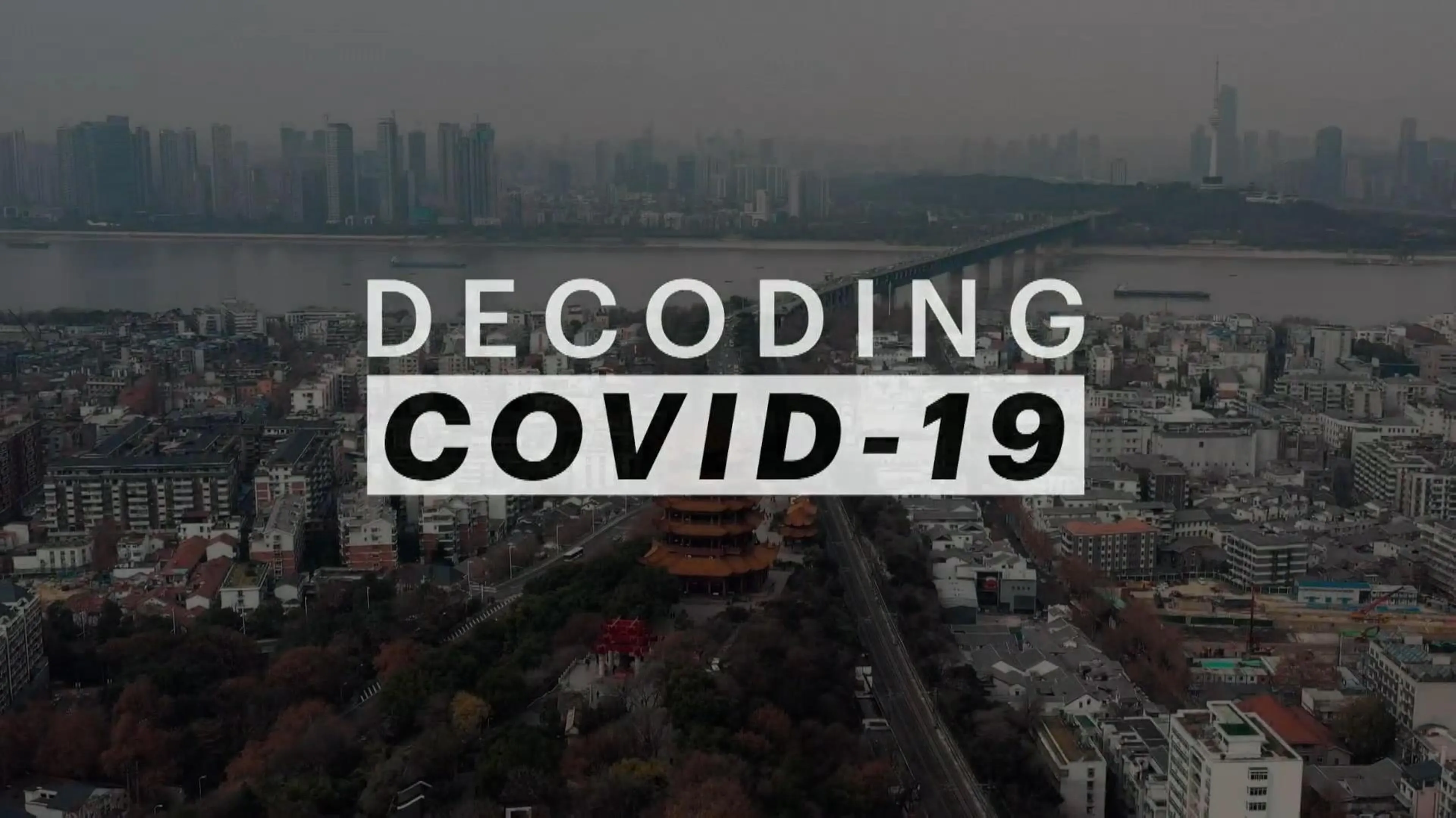 新冠病毒解码